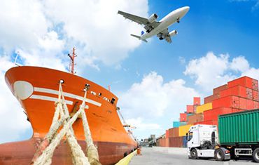 WordPress Trade Themes